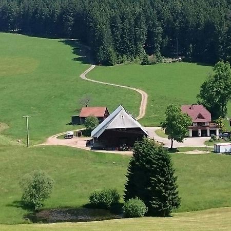 Apartament Oberengenbachhof Eisenbach  Zewnętrze zdjęcie
