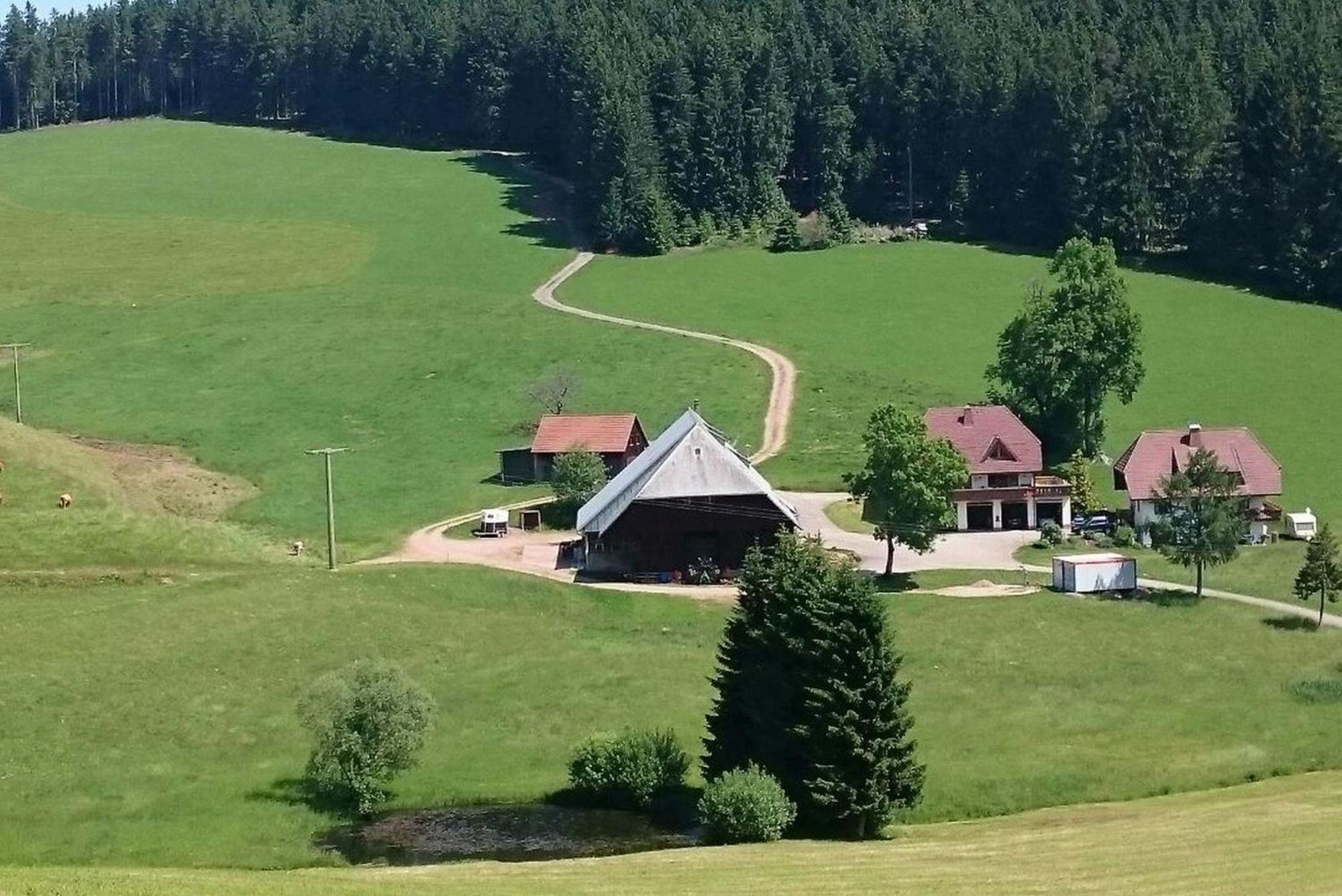 Apartament Oberengenbachhof Eisenbach  Zewnętrze zdjęcie
